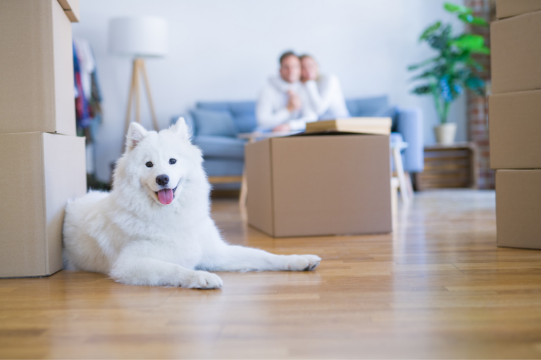 Preparing to Move into Your New S&A Home