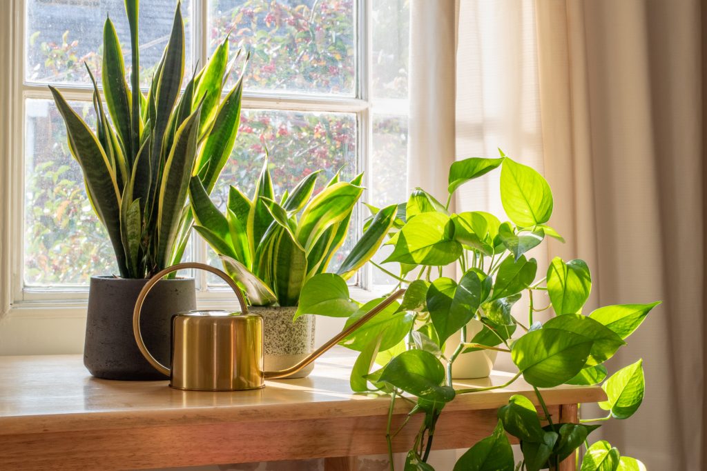 Easy Ways to Spruce Up Your Home for Spring