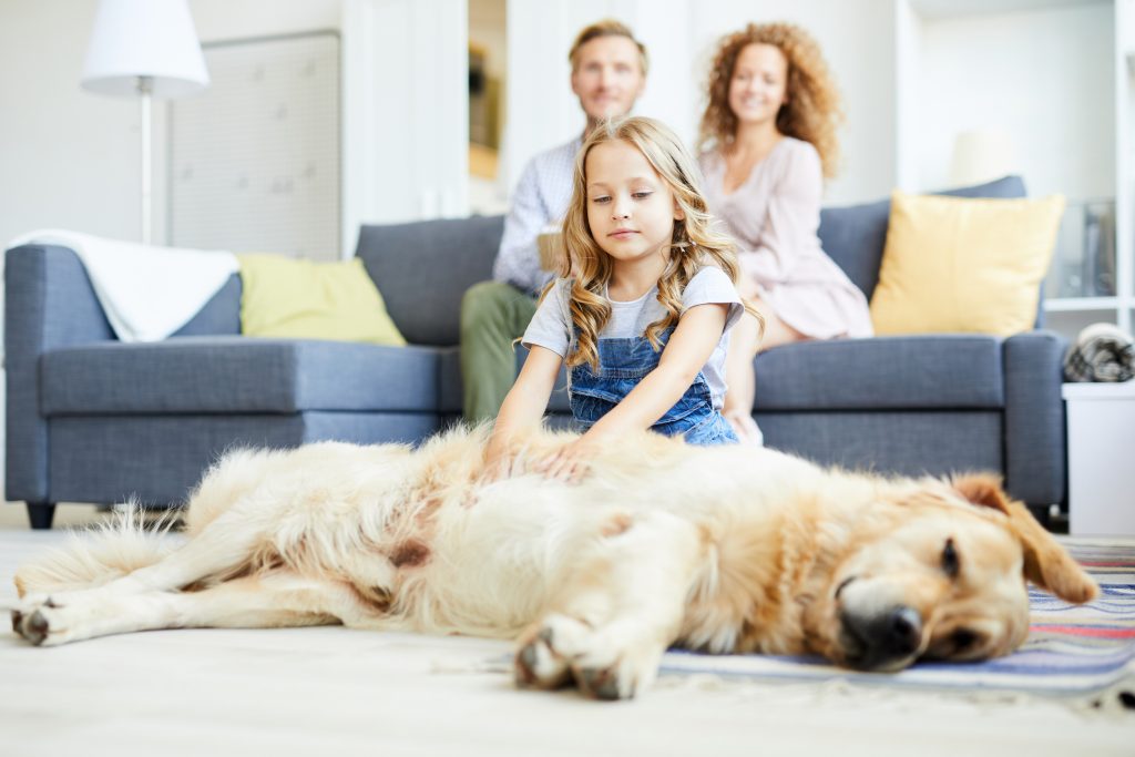 Helpful Tips for Selling a Home When You Have Pets