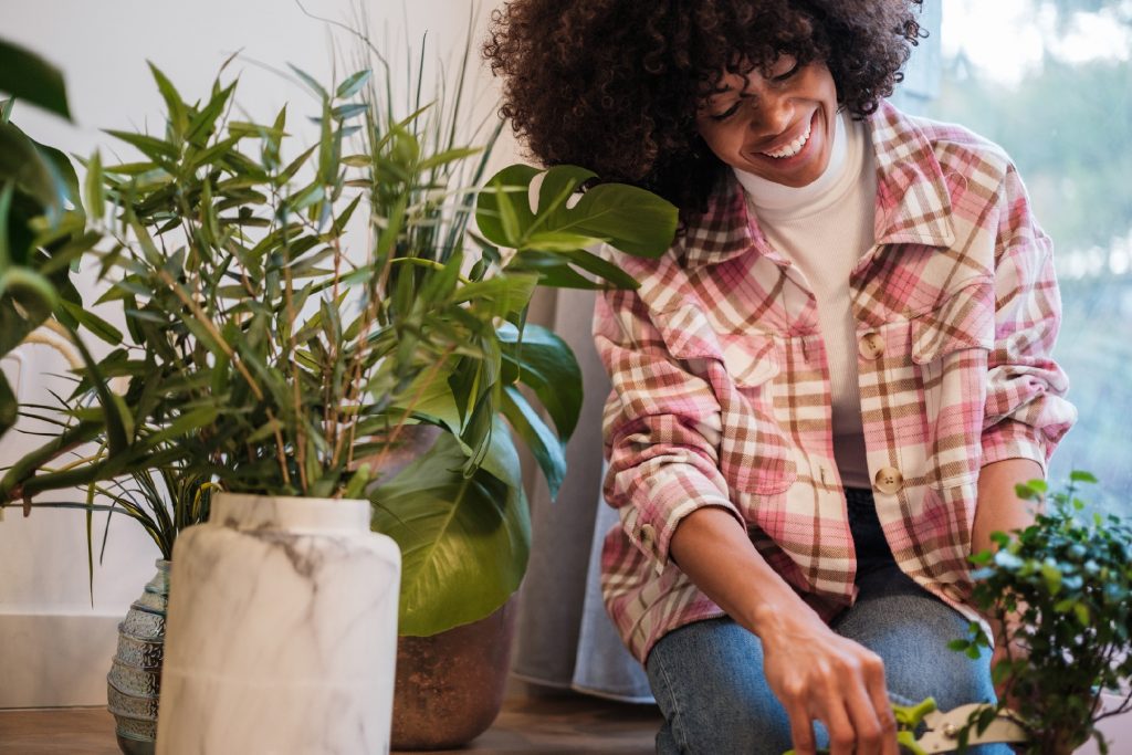 Luxury Living: Elevate Your Home on a Budget